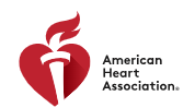 American Heart Association